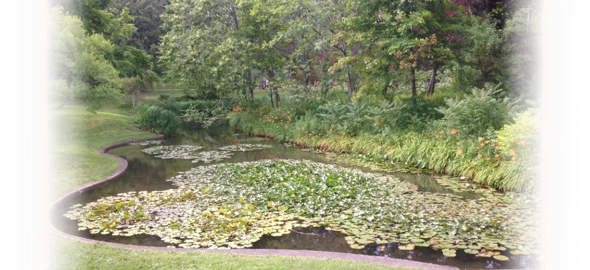 Canada Image10